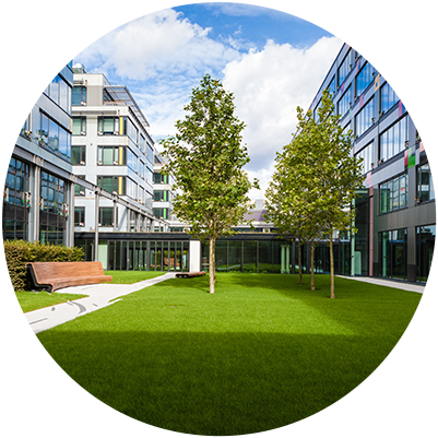 Commercial Lawn Care