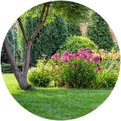 Shrub & Ornamental Fertilization